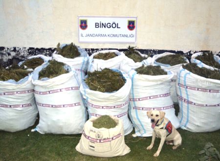 Bingöl’de 9 ayda 2,5 ton esrar ele geçirildi