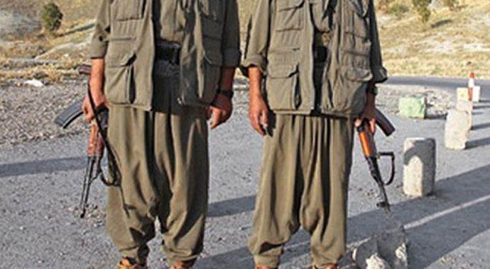 Bingöl’de 2 PKK’lı teslim oldu