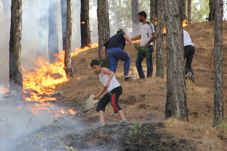 Piknikçiler orman yaktı