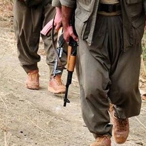 Örgütten Kaçan PKK’lı Genç’te Yakalandı