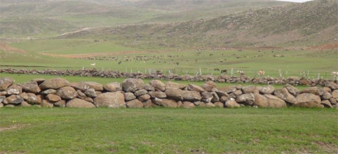 PKK’nın hayvan sahiplerini tehdit ettiği iddiası