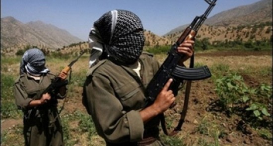 PKK’lılar 2 İşçiyi Kaçırdı