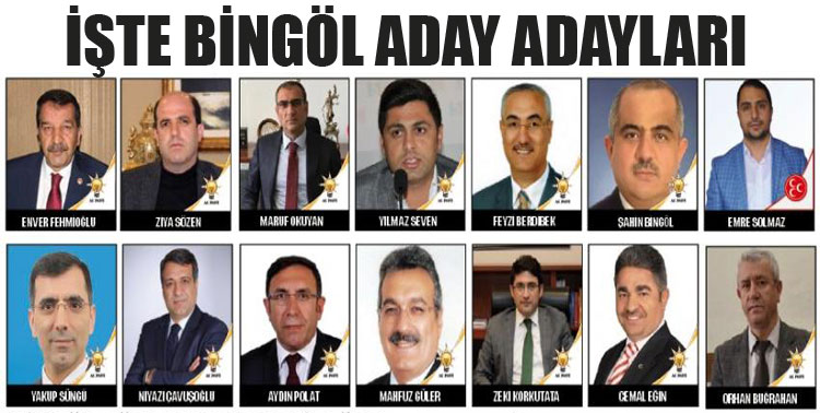 Bingöl milletvekili aday adaylığı başvuruları start aldı