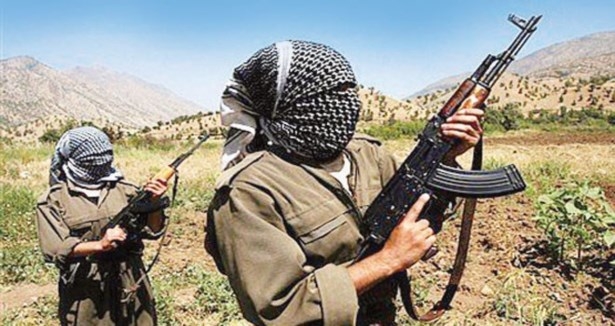 PKK’lılar Genç’te araç gasp etti
