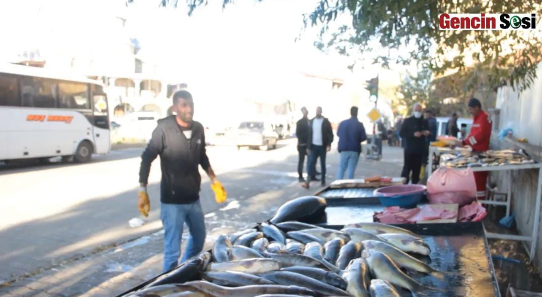 Balıkçıların Pazar Talebi