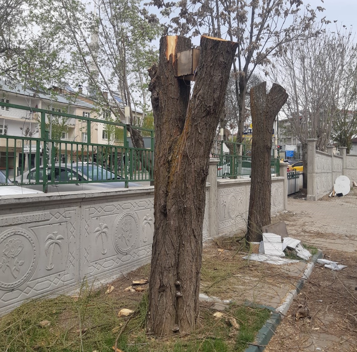 KAŞ YAPAYIM DERKEN, GÖZ ÇIKARDILAR (1)