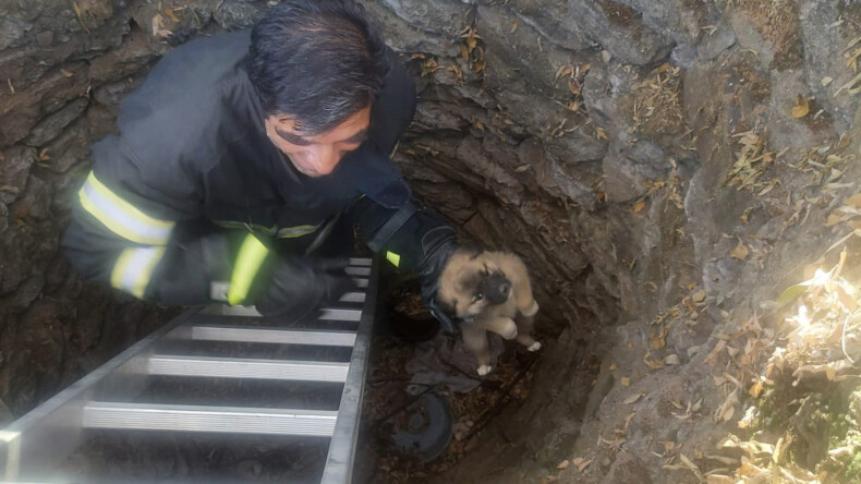 Kuyuya düşen yavru köpek kurtarıldı