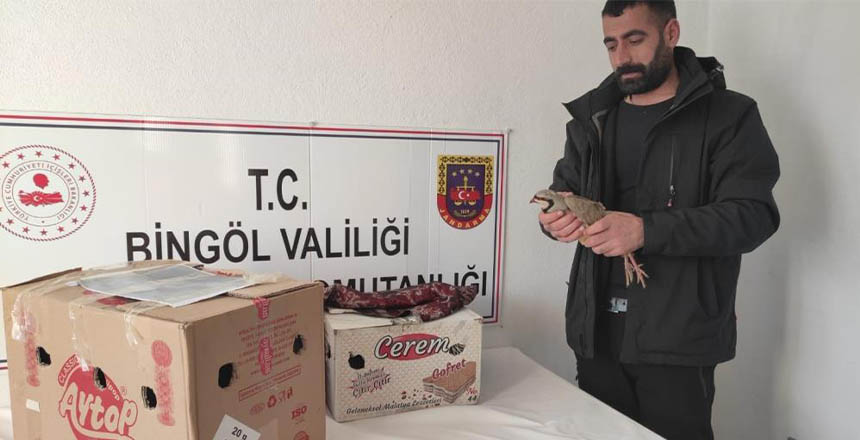 Yasak-sekilde-avlanan-13-adet-kinali-keklik-ele-gecirildi