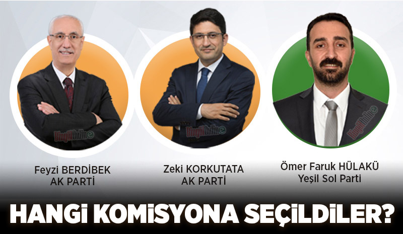 Bingöl vekilleri hangi komisyonda