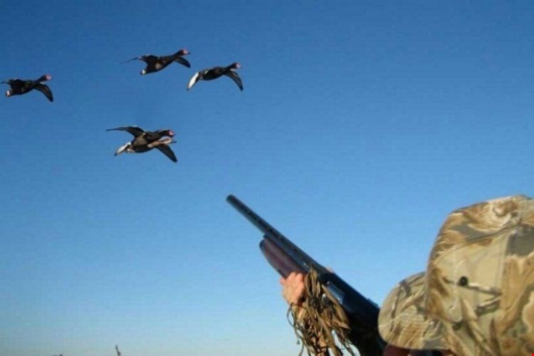 Av Sezonu 26 Ağustos’ta Açılıyor