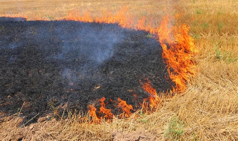 Anız Yakanlara Cezai İşlem Uygulanacak