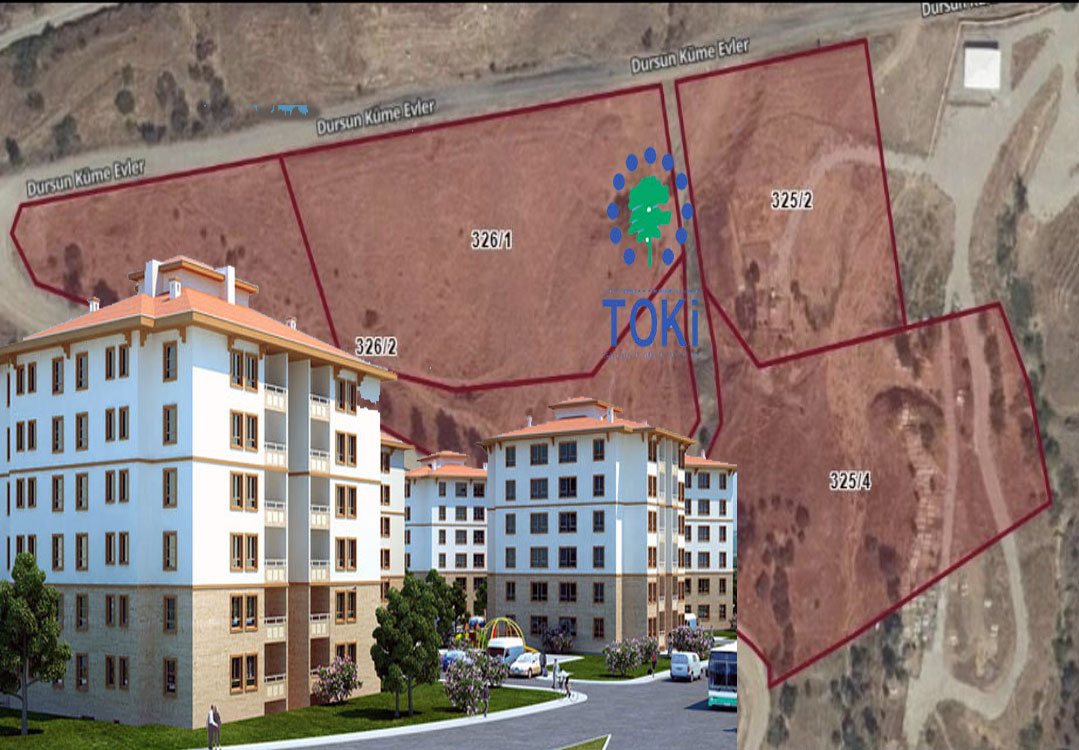 toki-genç