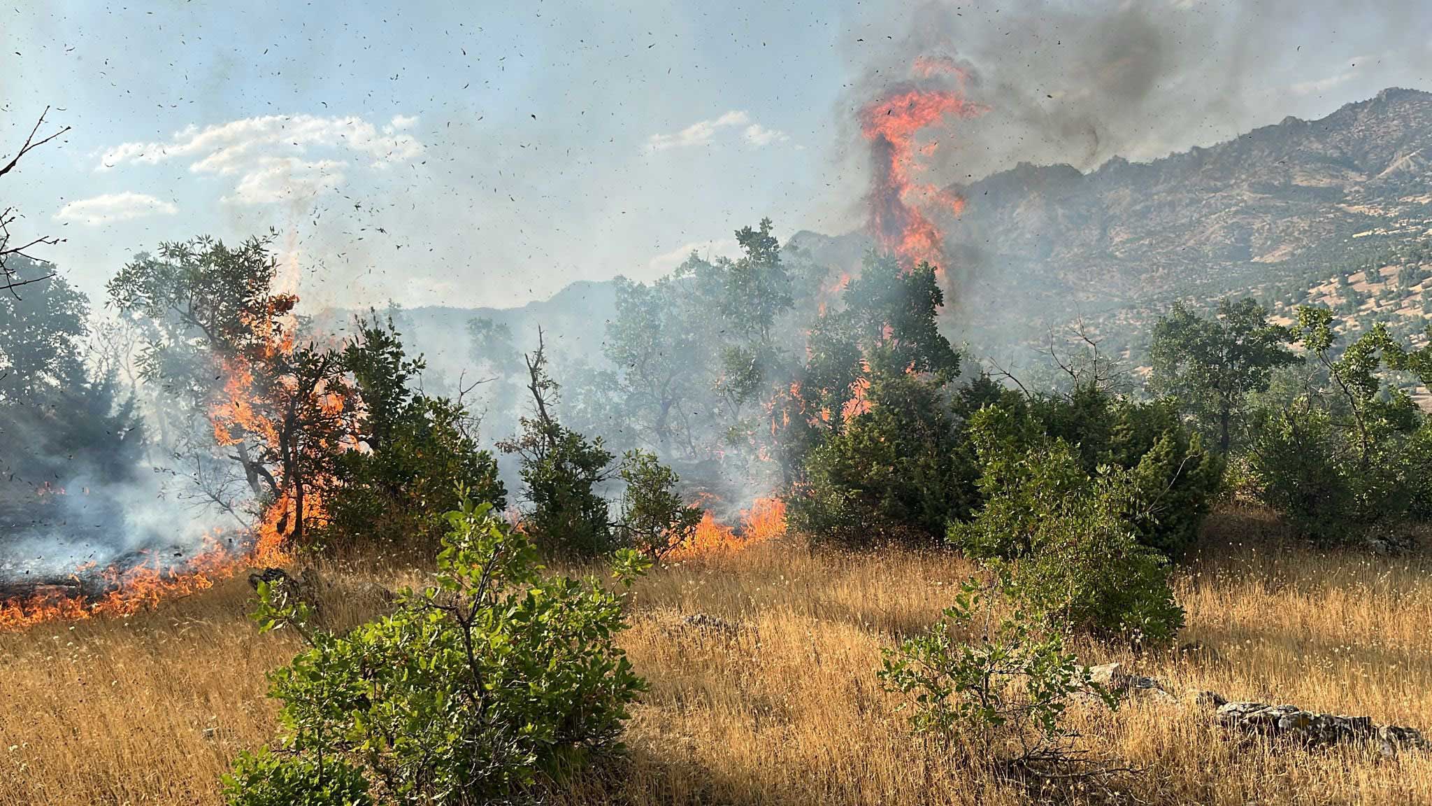 ORMAN-YANGINLARI-KISA-SÜREDE-SÖNDÜRÜLDÜ-(1)