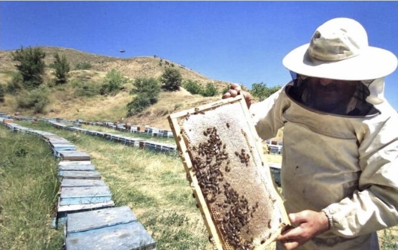 Screenshot_20250729_140524_Samsung Internet