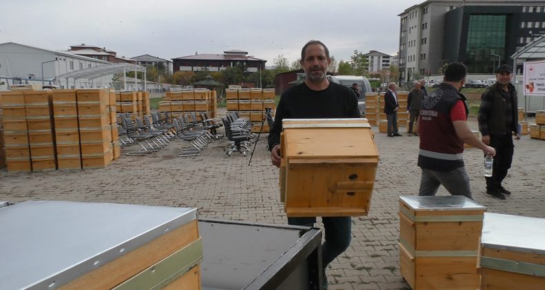 Bingöl, Arıcılıkta Türkiye’de 14’üncü, Bölgede 2’nci Sırada
