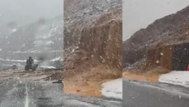 Red-and-Yellow-Bold-The-Dark-Truth-YouTube-Thumbnail-2-1-787x443