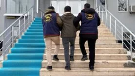 43753ad1-645c-4523-9a14-3acec36560de