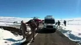 6999aff5a5037c717a15f9ca