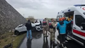 WhatsApp Image 2026-03-20 at 12.54.48