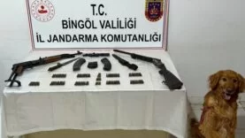 05a89c4e-ad64-477b-ad54-047017bc7623