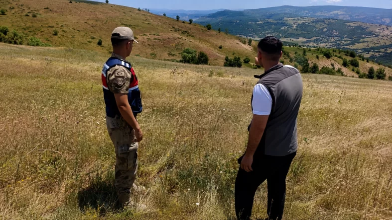 Bingöl’de Doğayı Talan Edenlere Milyonluk Yaptırım
