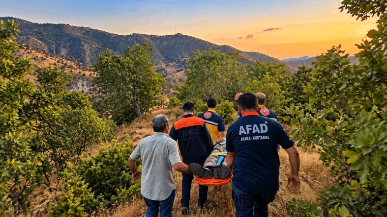 Ormanda Kayboldu, Sağ Bulundu